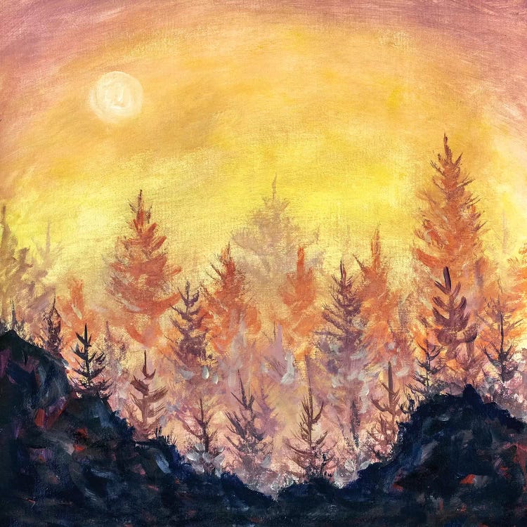 Orange-Purple Dawn Sunset In Forest