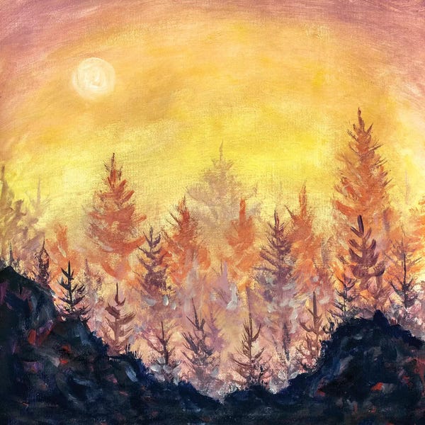 Orange-Purple Dawn Sunset In Forest
