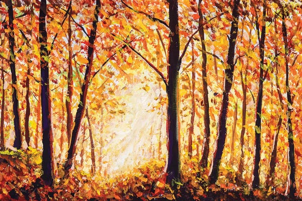 Autumn Forest II