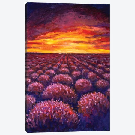 Lavender Field At Provence, France Canvas Print #VRY203} by Valery Rybakow Canvas Art