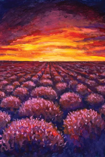 Herbs: Lavender Field At Provence, France by Valery Rybakow