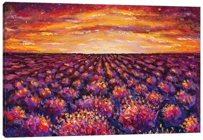 Sunset Over Lavender Field Canvas Art Print - Lavender Art