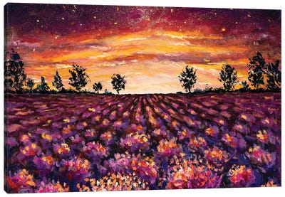 Purple Flowers Lavender Field Canvas Art Print - Herb Art