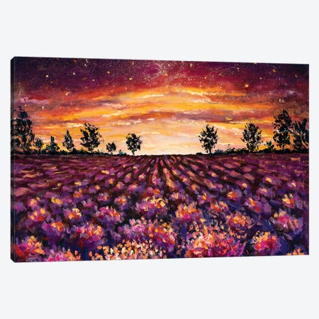 Purple Flowers Lavender Field Canvas Print #VRY209} by Valery Rybakow Canvas Wall Art
