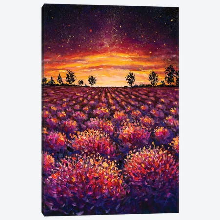 Lavender Field, Warm Dawn Canvas Print #VRY211} by Valery Rybakow Canvas Print