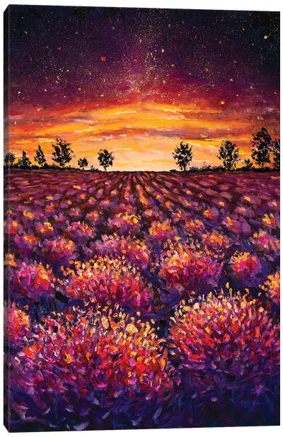 Lavender Field, Warm Dawn Canvas Art Print - Lavender Art