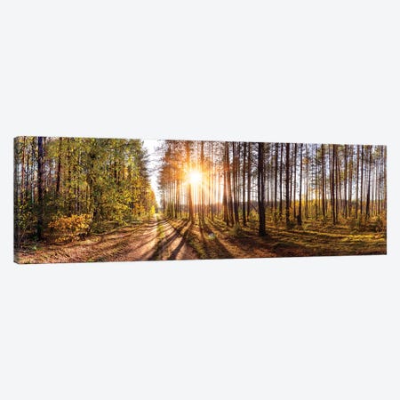 Sunny Day In Forest Panorama Canvas Print #VRY218} by Valery Rybakow Canvas Print