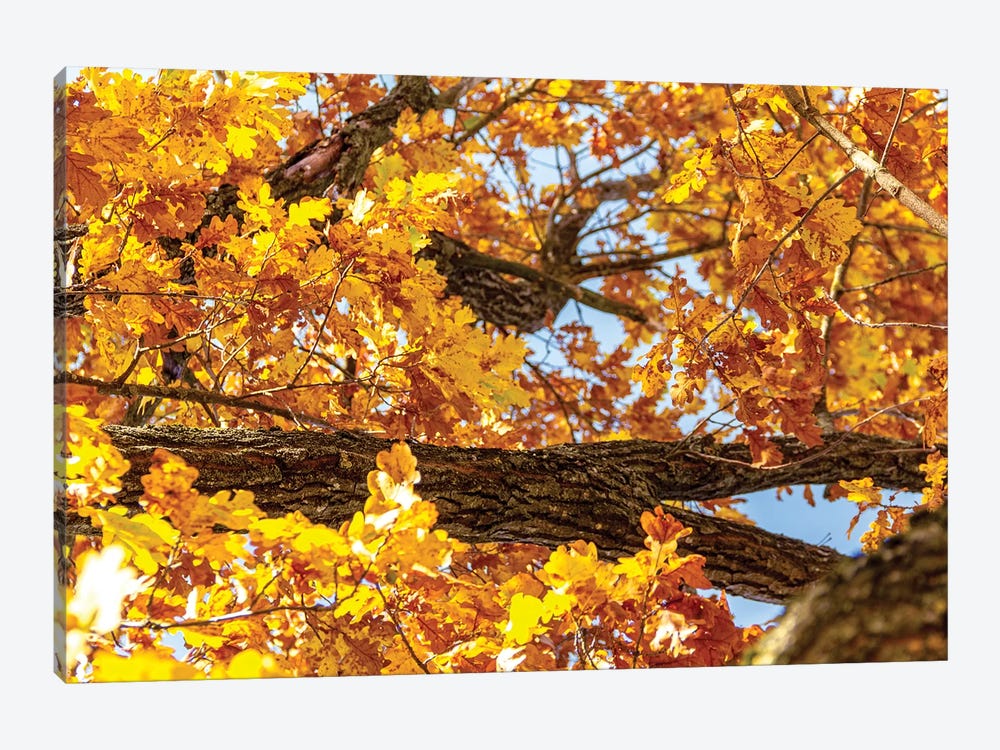 Beautiful Autumn Mood by Valery Rybakow 1-piece Canvas Print