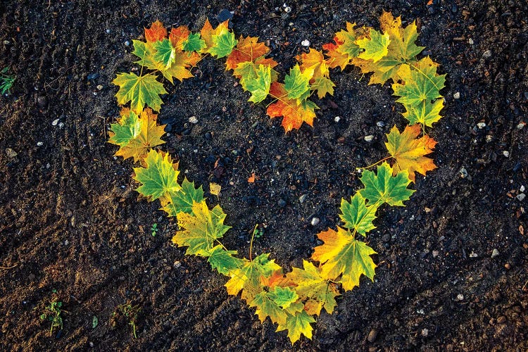 Love For Autumn