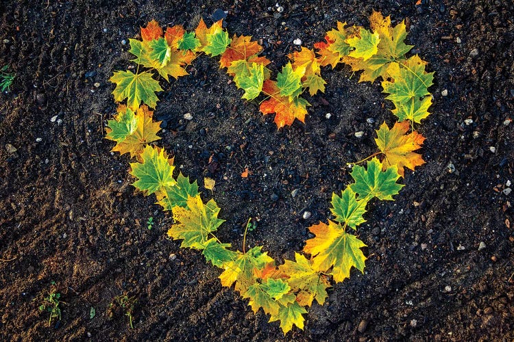 Love For Autumn by Valery Rybakow wall art