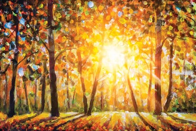 Autumn Forest I Landscape With Sun Rays And Colorful Autumn Leaves by Valery Rybakow framed wall art
