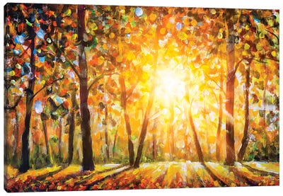 Autumn Forest Landscape With Sun Rays And Colorful Autumn Leaves Canvas Art Print - Valery Rybakow