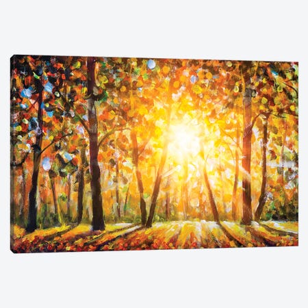 Autumn Forest Landscape With Sun Rays And Colorful Autumn Leaves Canvas Print #VRY237} by Valery Rybakow Canvas Art