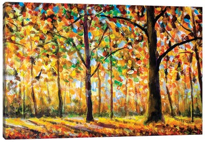 Autumn Forest Landscape Canvas Art Print - Valery Rybakow