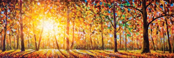 Extra Wide Panorama Of Gorgeous Forest In Autumn