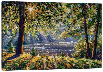 Sun Rays Play In The Branches Of Trees Canvas Art Print - Valery Rybakow