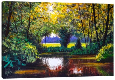 Sunny Pond Landscape Canvas Art Print - Valery Rybakow