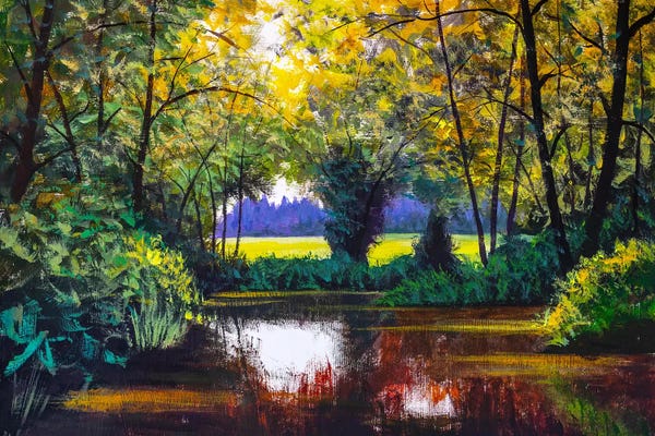 Valery Rybakow: Sunny Pond Landscape by Valery Rybakow