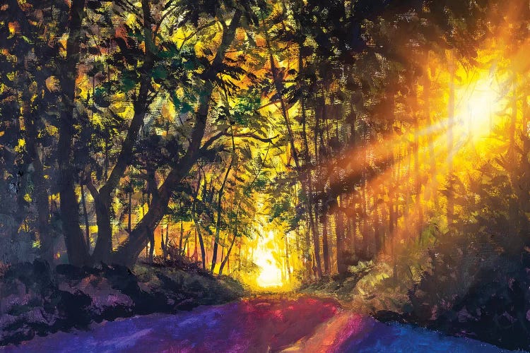 Beautiful Magic Forest Path by Valery Rybakow wall art