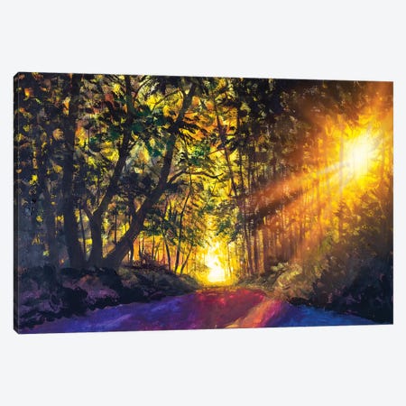 Beautiful Magic Forest Path Canvas Print #VRY246} by Valery Rybakow Canvas Print