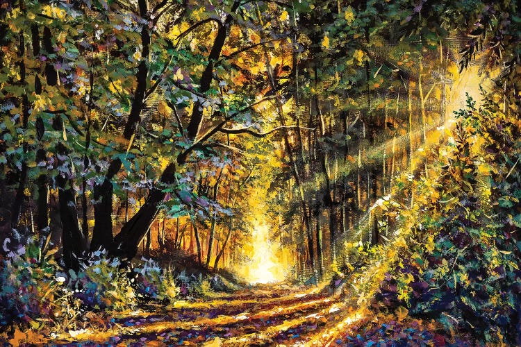 Sunny Forest In Autumn