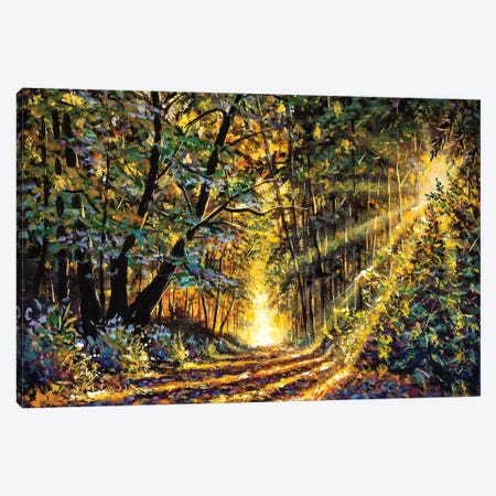Sunny Forest In Autumn Canvas Print #VRY247} by Valery Rybakow Canvas Print