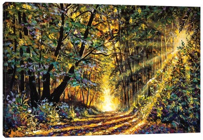 Sunny Forest In Autumn Canvas Art Print - Valery Rybakow