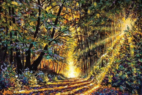 Sunny Forest In Autumn