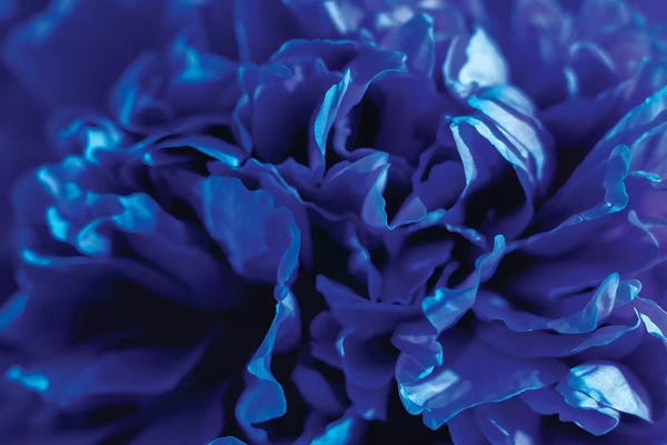 Valery Rybakow: Abstract Flower Blossom Macro Close-Up Floral by Valery Rybakow