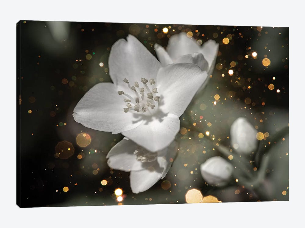 Jasmine Flower Macro With Soft Focus On Gentle Light Dark Golg Bokeh by Valery Rybakow 1-piece Art Print