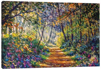 Sunny Footpath Road In Forest Park Canvas Art Print - Trail, Path & Road Art