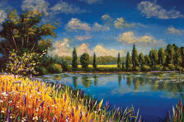 Valery Rybakow: Beautiful Autumn Field Of Flowers Near Pond Lake River by Valery Rybakow