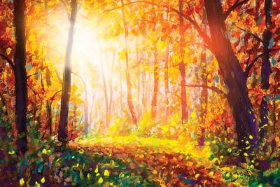 Footpath Through Foggy Forest In Autumn Illuminated By Sunbeams by Valery Rybakow canvas print