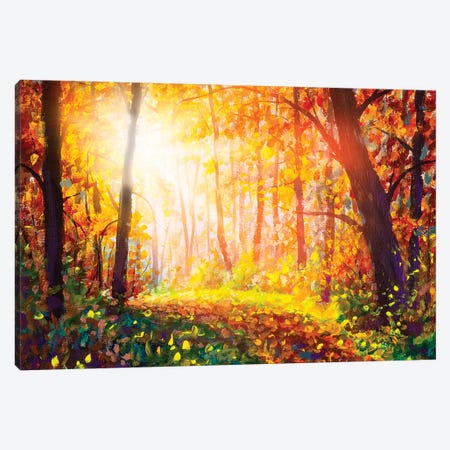 Footpath Through Foggy Forest In Autumn Illuminated By Sunbeams Canvas Print #VRY279} by Valery Rybakow Art Print