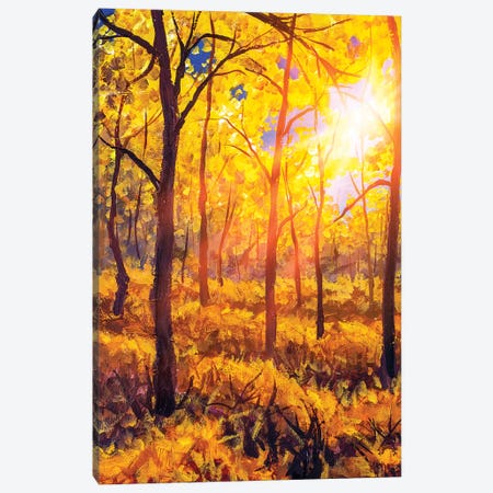 Sunset In Autumn Forest Landscape Canvas Print #VRY281} by Valery Rybakow Canvas Art