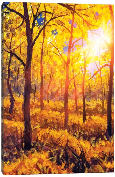 Sunset In Autumn Forest Landscape Canvas Art Print - Current Day Impressionism Art