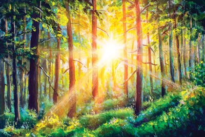 Beautiful Sunny Forest Landscape by Valery Rybakow art print