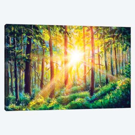 Beautiful Sunny Forest Landscape Canvas Print #VRY283} by Valery Rybakow Canvas Artwork