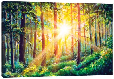 Beautiful Sunny Forest Landscape Canvas Art Print - Valery Rybakow