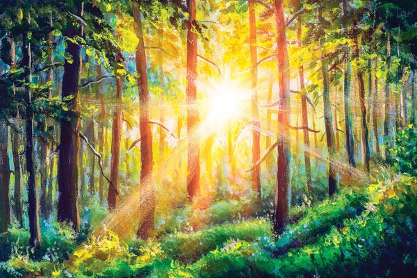 Valery Rybakow: Beautiful Sunny Forest Landscape by Valery Rybakow
