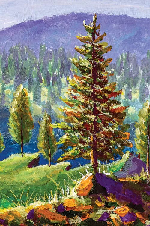 Big Pine On Background Of Sunny Forest And Mountains