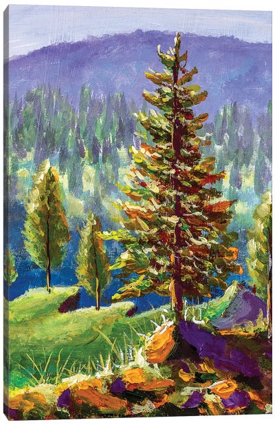 Big Pine On Background Of Sunny Forest And Mountains Canvas Art Print - Valery Rybakow