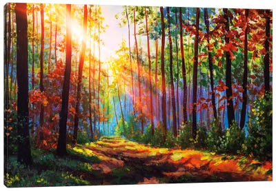Amazing Autumn Forest In Morning Sunlight Canvas Art Print - Current Day Impressionism Art