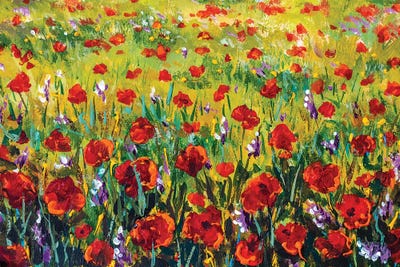 Flower Field by Valery Rybakow framed wall art