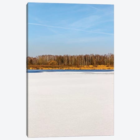 Blue Sky, Yellow Forest In Distance Canvas Print #VRY307} by Valery Rybakow Canvas Artwork