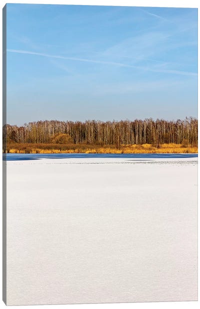 Blue Sky, Yellow Forest In Distance Canvas Art Print - Color Fields
