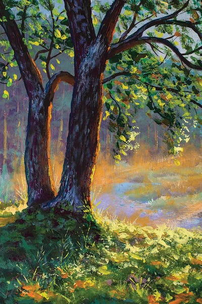 Big Trees On Sun Russian Morning On River by Valery Rybakow canvas print