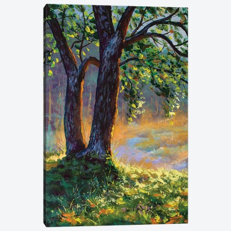 Big Trees On Sun Russian Morning On River Canvas Print #VRY315} by Valery Rybakow Canvas Print
