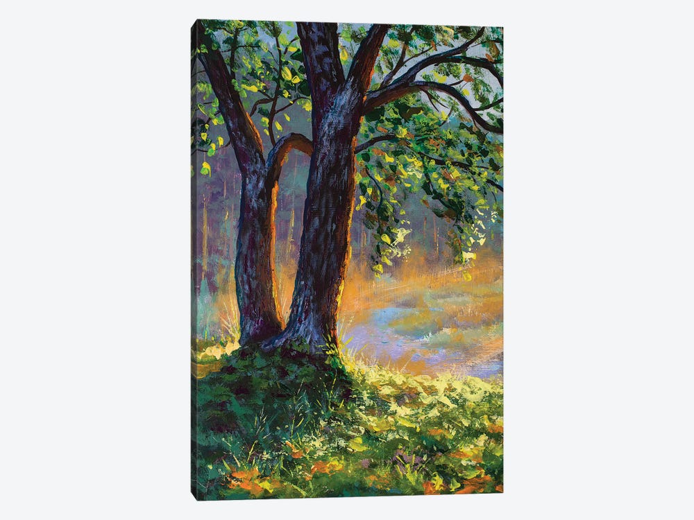 Big Trees On Sun Russian Morning On River by Valery Rybakow 1-piece Canvas Wall Art