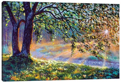First Sun Rays In River. Big Trees And Warm Sunny Grass Canvas Art Print